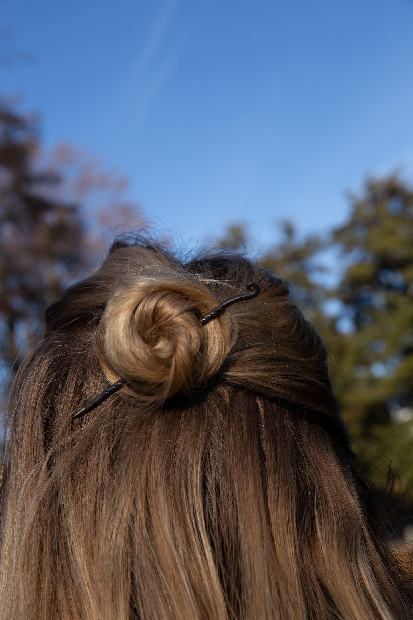 Hand-forged Hair Stick